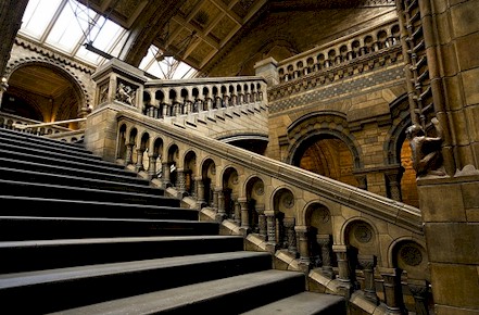 London Museum of Natural Science by Martin Rossi