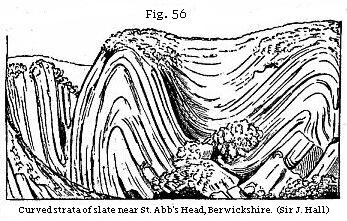 Figure 56 - Curved Strata, St, Abb's Head
